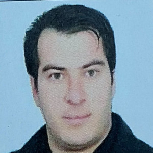 امیر پارسااصل