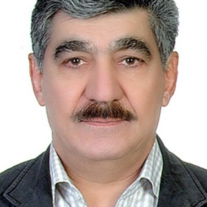 پرویز وکیل فرجی