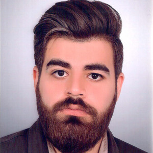 مجتبی احمدی پور