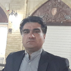 محمد حسنی