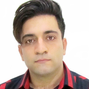 سید مجتبی برسی زاده